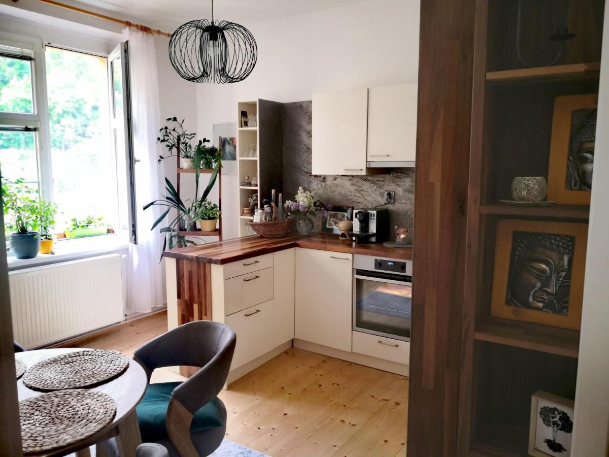 Apartmany Ivana Decin Dış mekan fotoğraf